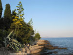 Agave (Agava), cypresses (Cupressus sempervirens) and Aleppo pines (Pinus halepensis) on the way to the lighthouse