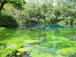 Cetina River - one of the sources